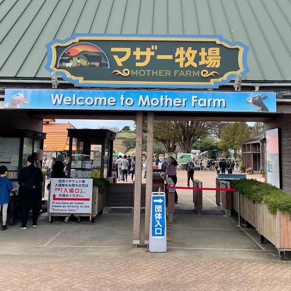 グルメやアトラクション(バンジーも)が楽しめる、千葉県で家族旅行ならマザー牧場
