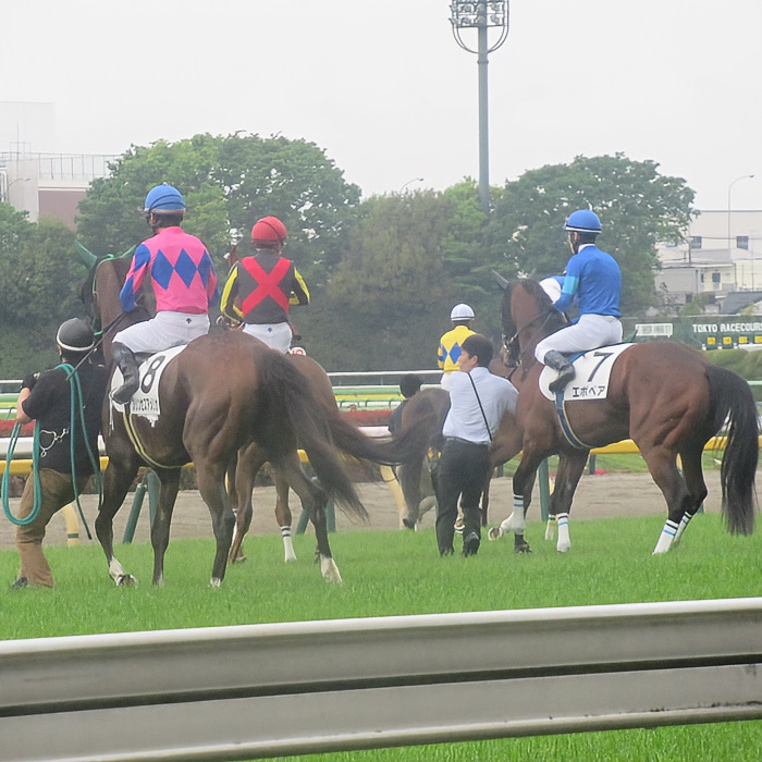 優駿牝馬(オークス)予想メモ～折り合いの良さ、東京2400のタフなコースに対応可能な馬を探す～